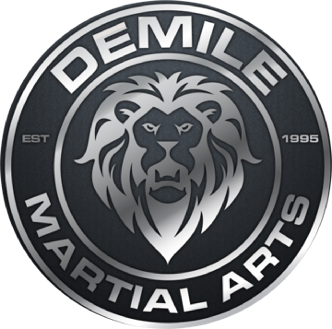 DEMILE MARTIAL ARTS