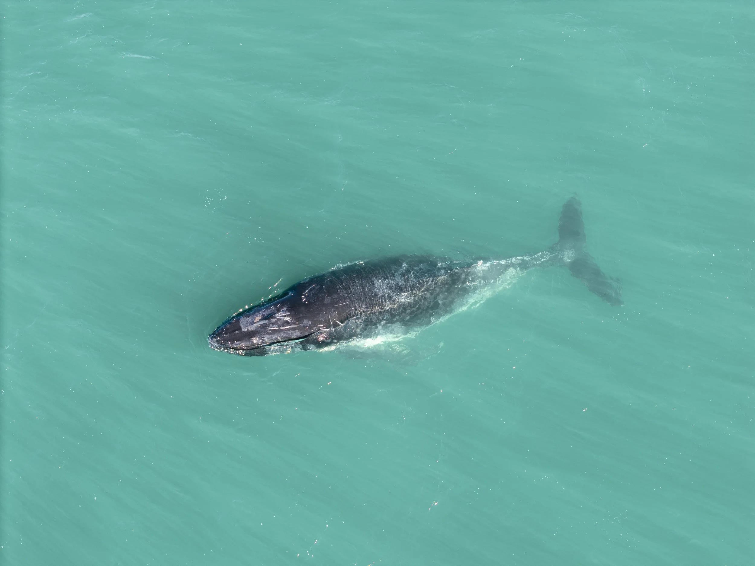 Eucla Final Photo 69.jpg