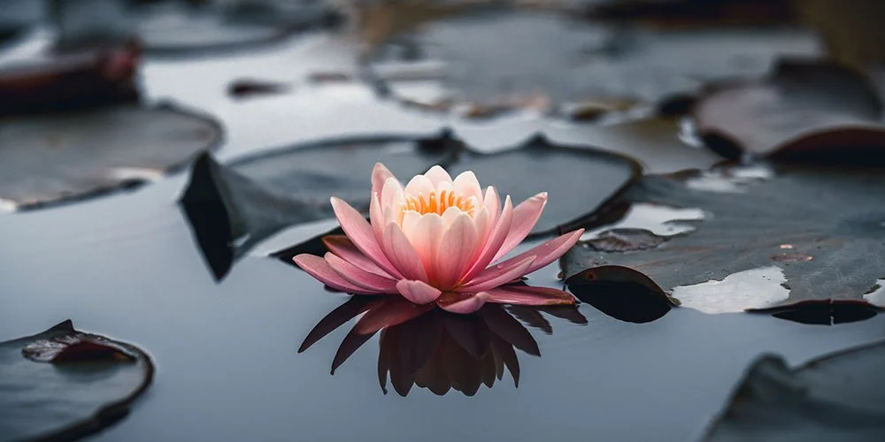 Meditation: Finding a Little More Stillness in Everyday Life