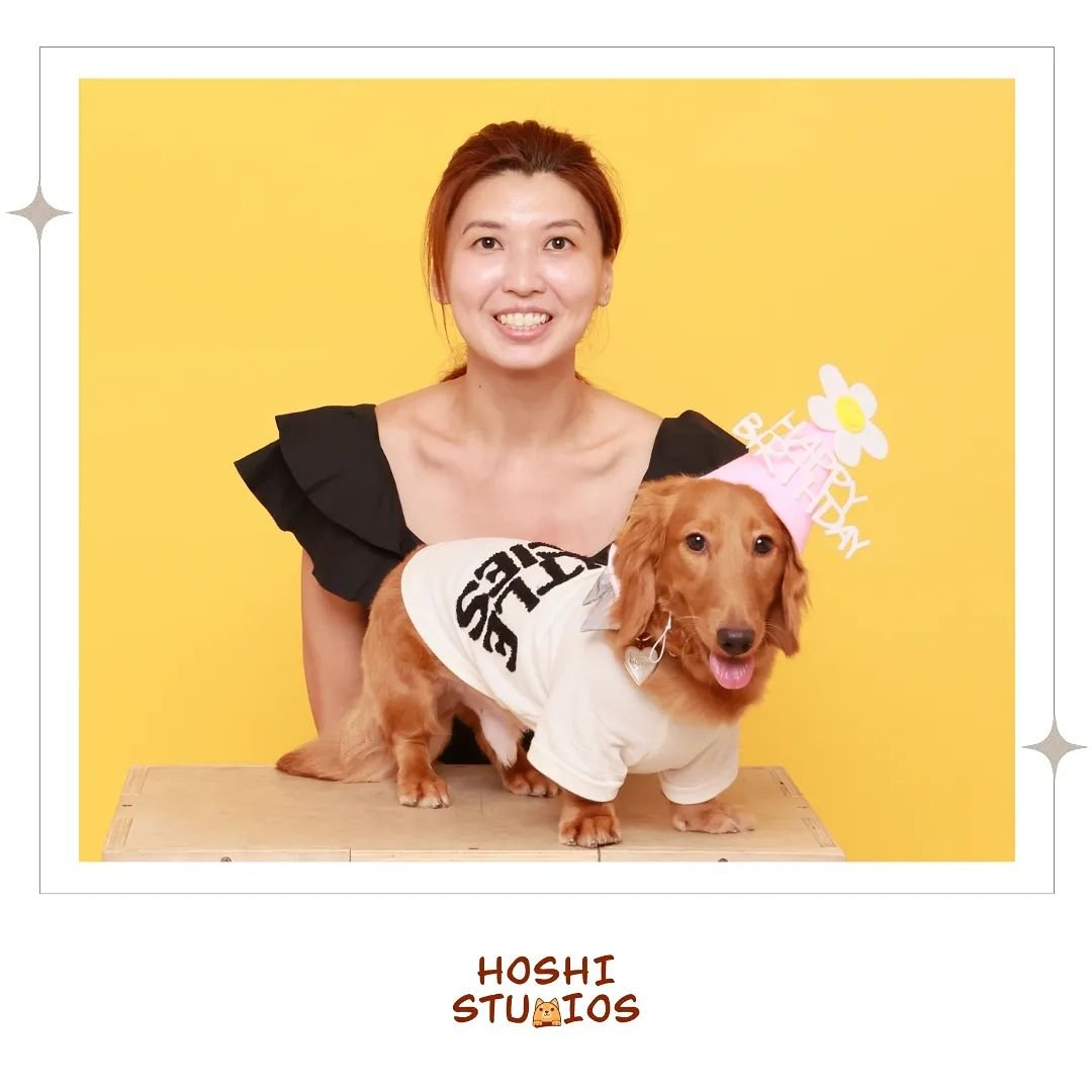 It's another daschund!!!! 😍😍😍😍😍 Sorry for the bias but is there an even cuter breed????

P.S edited: all dogs are very cute 🙏🏻

#dashchund #hoshistudios #photoshoot #photobooth #selfphotography #selfphotoshoot #selfphoto #selfphotostudio #self
