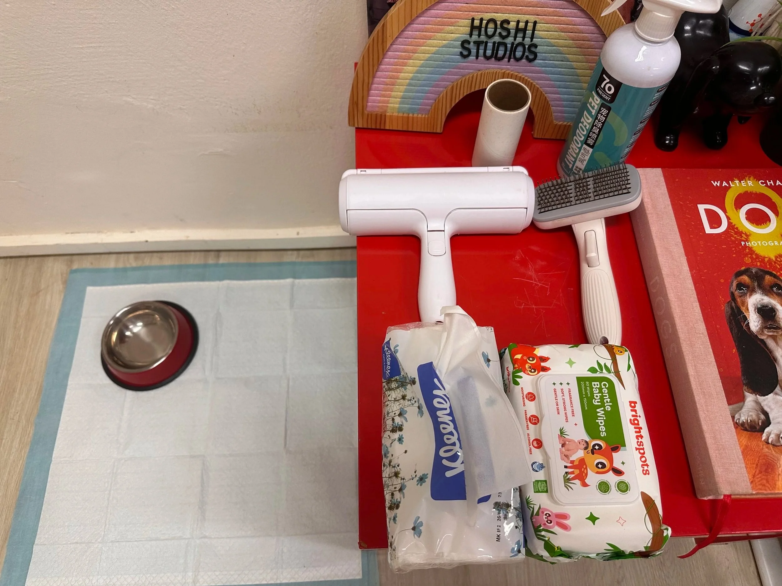 A countertop with two handheld vacuum cleaners, a pack of baby wipes, and a box of dog treats. There is a colorful rainbow-shaped sign with "HOSHI STUDIOS" in the background. A stainless steel pet bowl sits on a blue undersheet on the floor.
