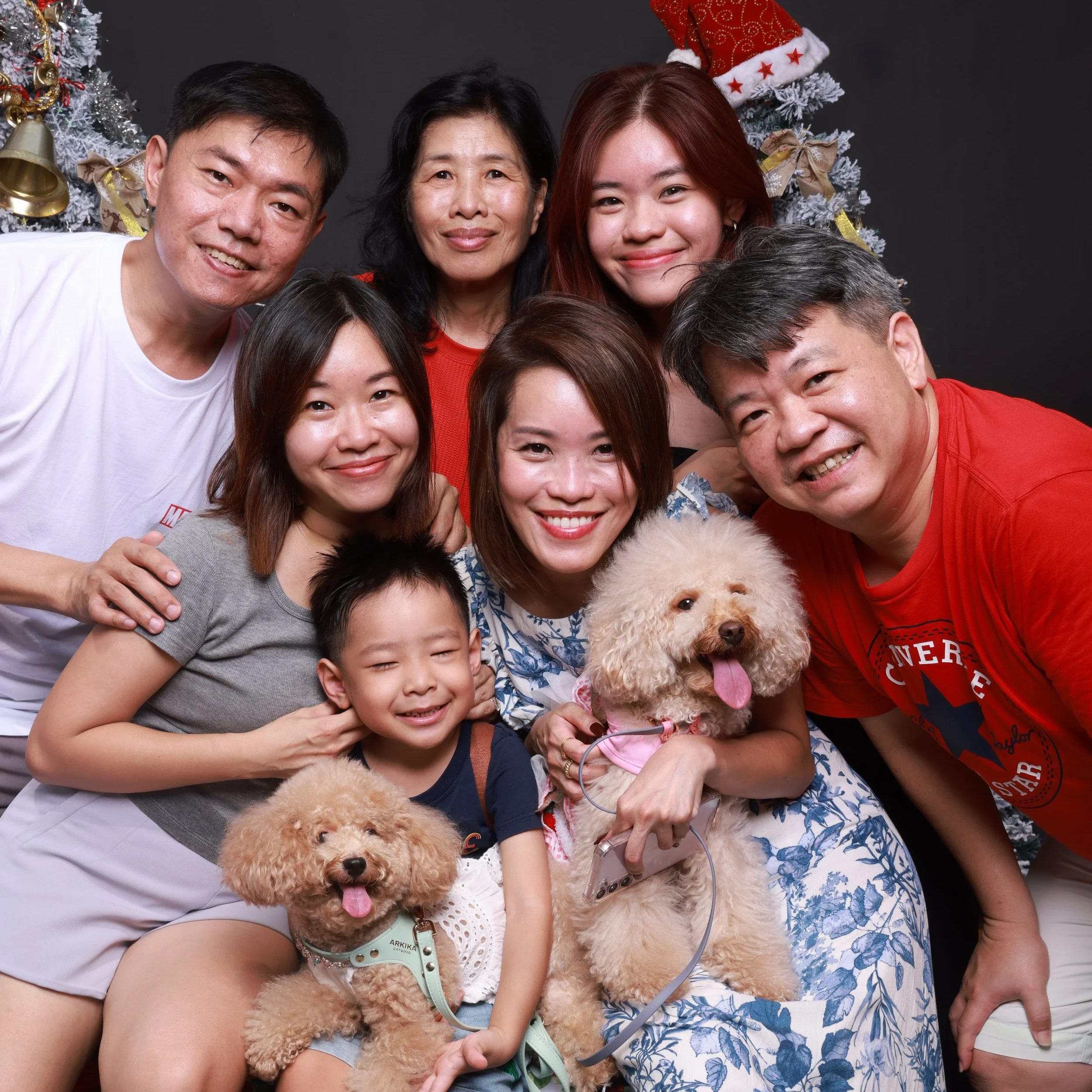 A multigenerational family of eight, including two dogs, posing in front of a Christmas tree decorated with ornaments, ribbons, and a Santa hat.