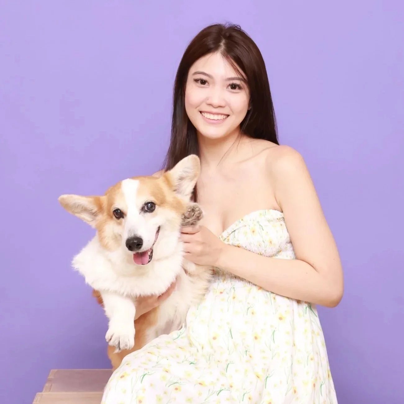 A woman smiling while holding a Pembroke Welsh Corgi dog with a purple background.