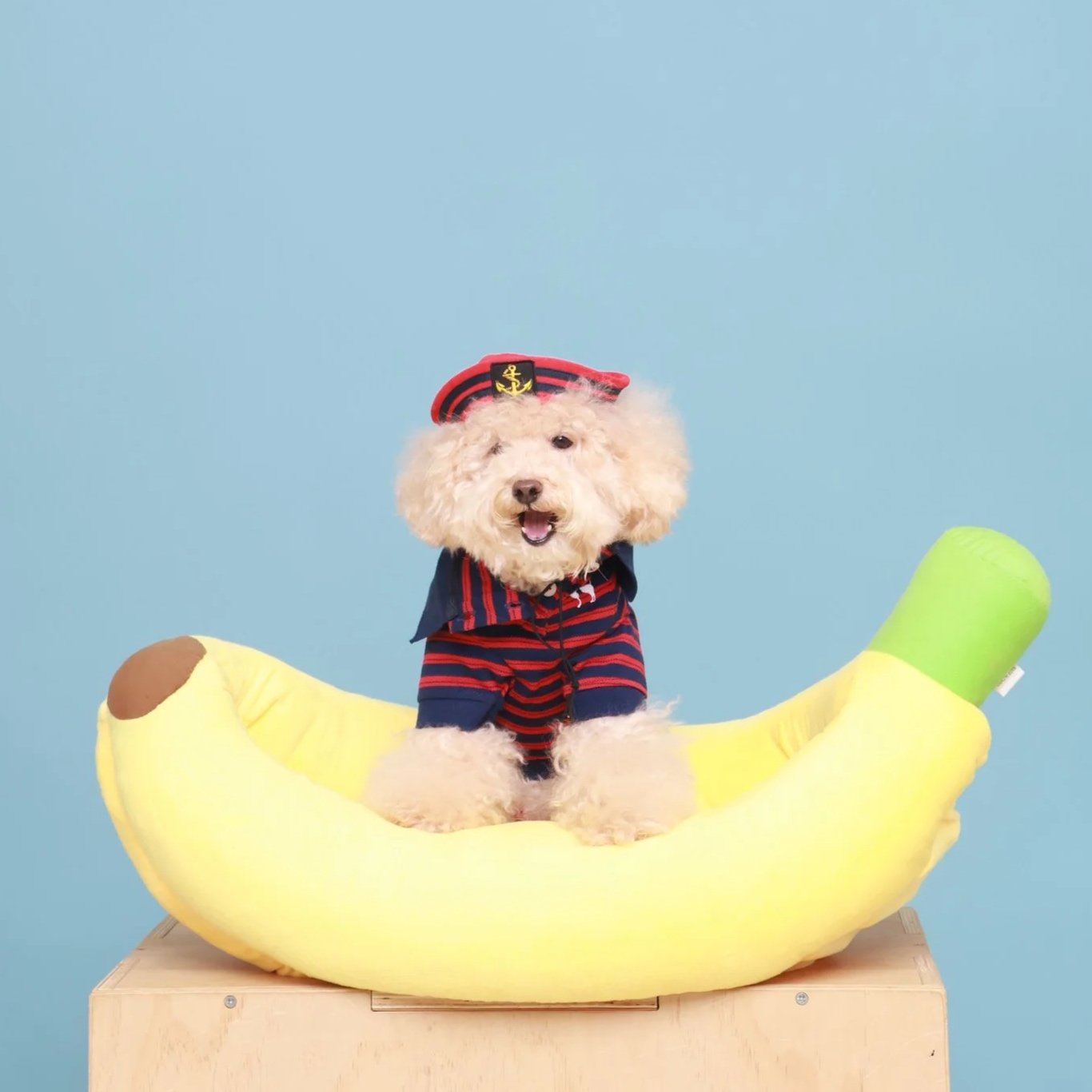 A fluffy white dog wearing a navy and red striped sailor outfit and a matching sailor hat with an anchor emblem, sitting inside a large plush banana prop with a brown spot and green tip, against a light blue background.