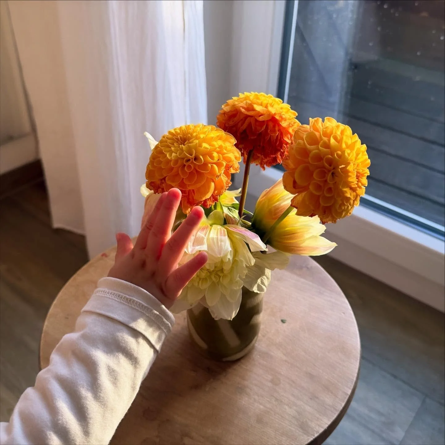 Weekly impressions 
1,2 autumn light hits different 
3 omw to ceramic painting workshop 
4,5 fresh paint for the studio front 
6 crisp morning walks 
7 quick ride to the studio 
8,9 masterpiece by @wikunia0092
10 trimming week for the clay classes
11