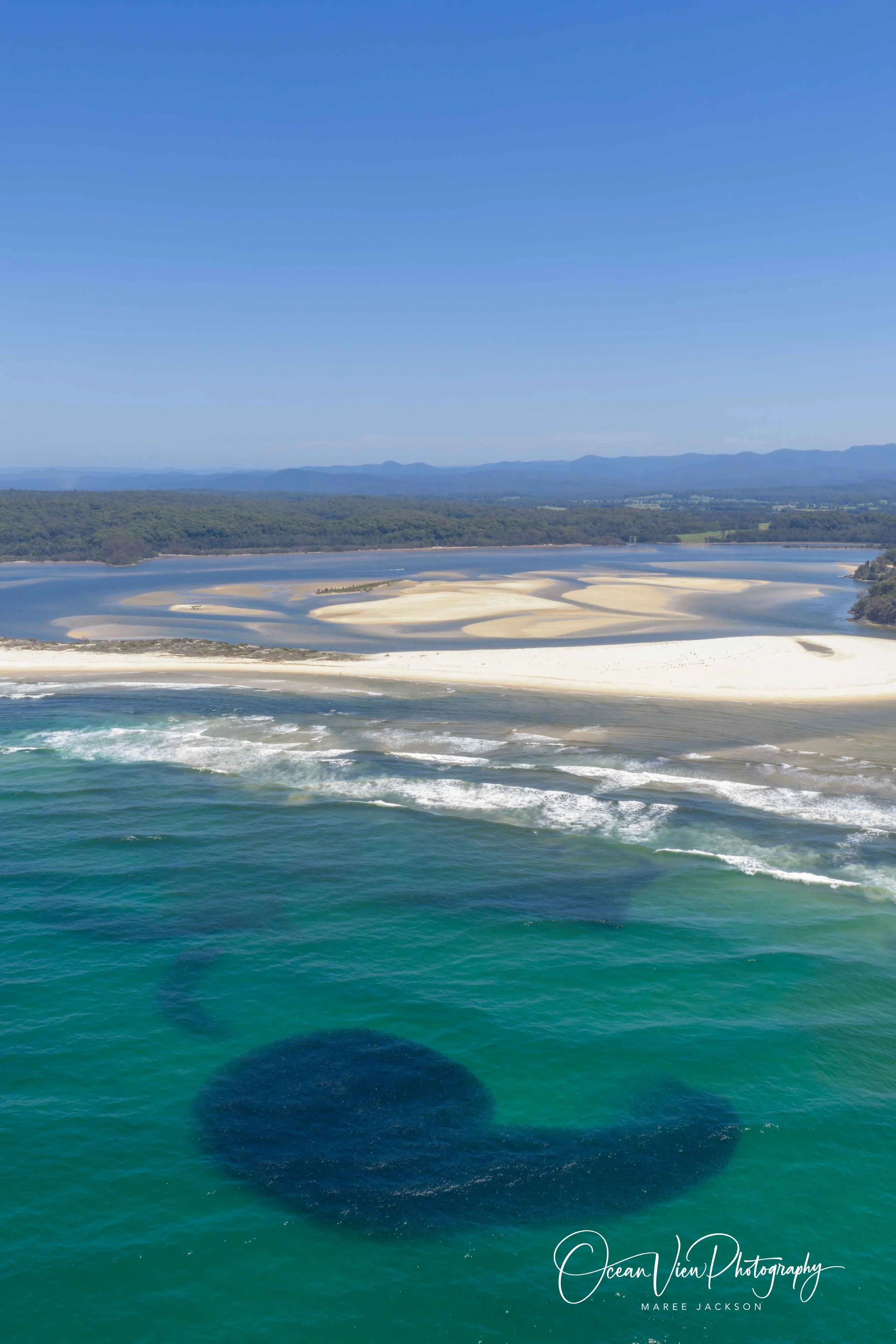 School of fish of Tuross Head Main Beach