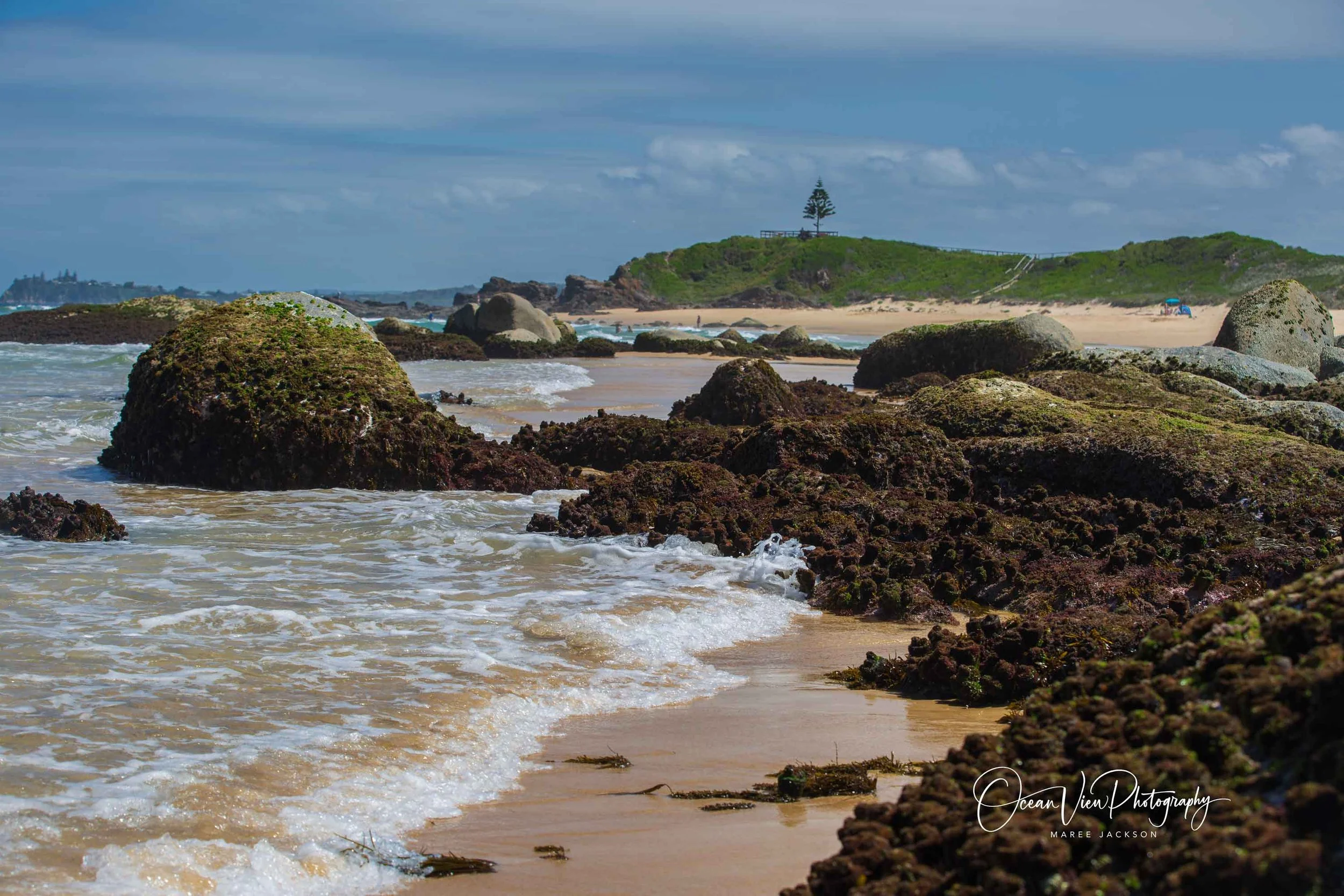 One Tree Point at very low tide