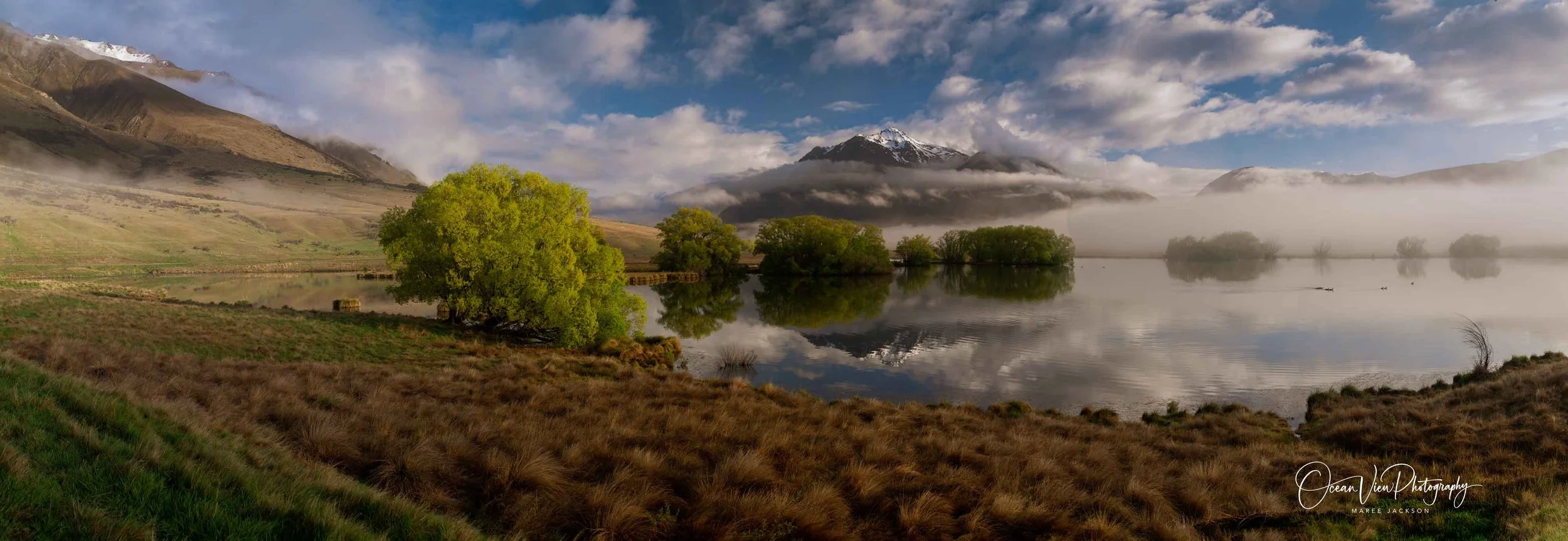 New Zealand pond & mountains