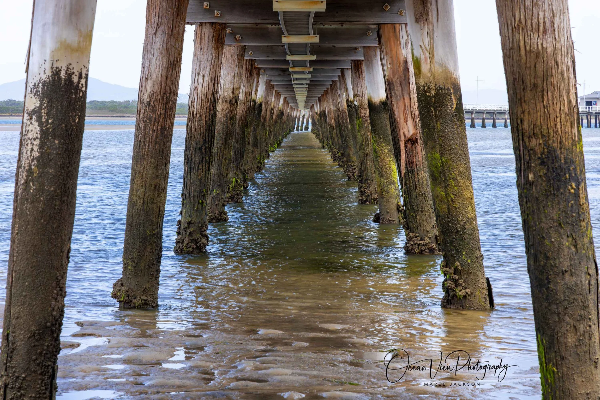Under the jetty