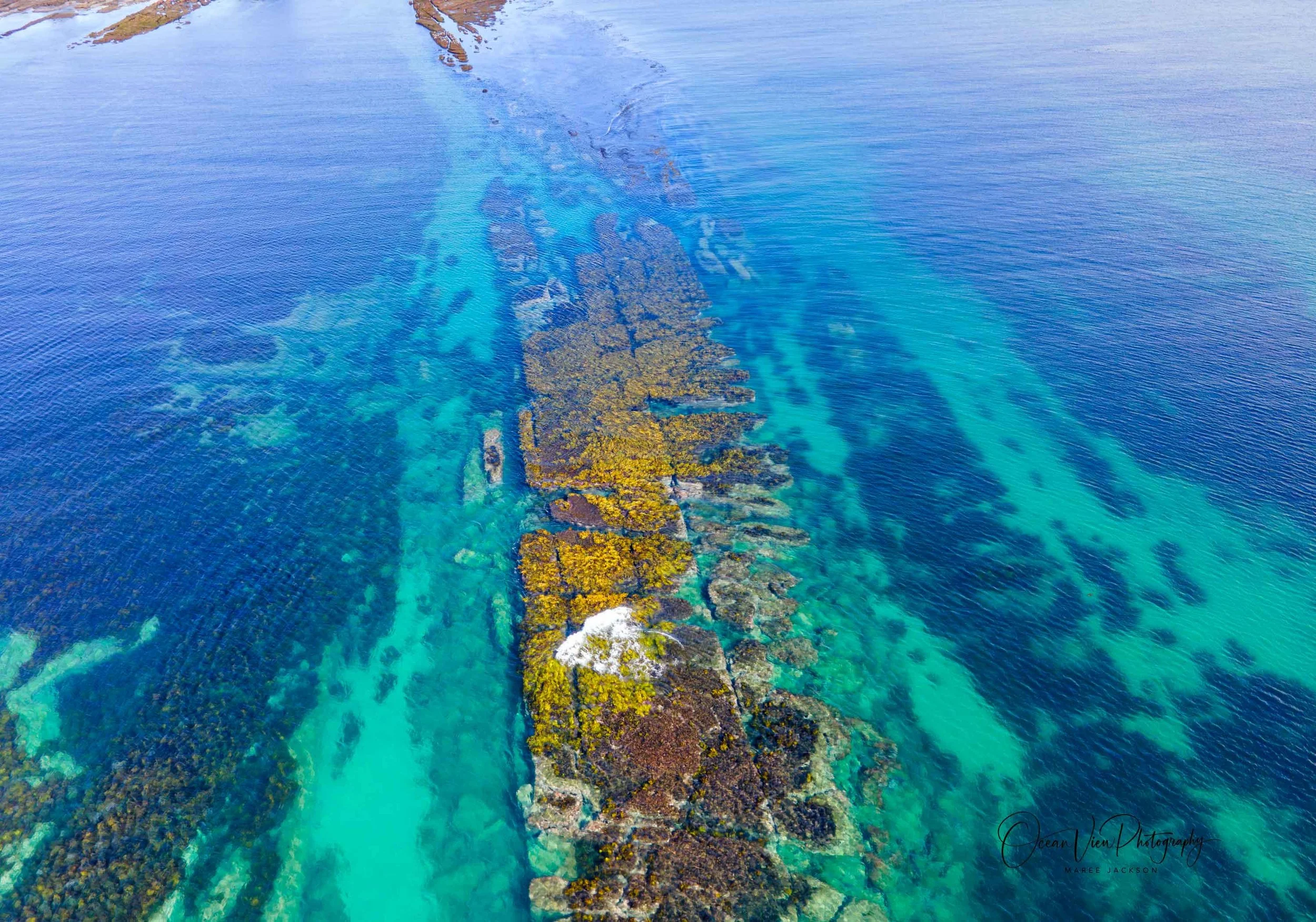 The Reef