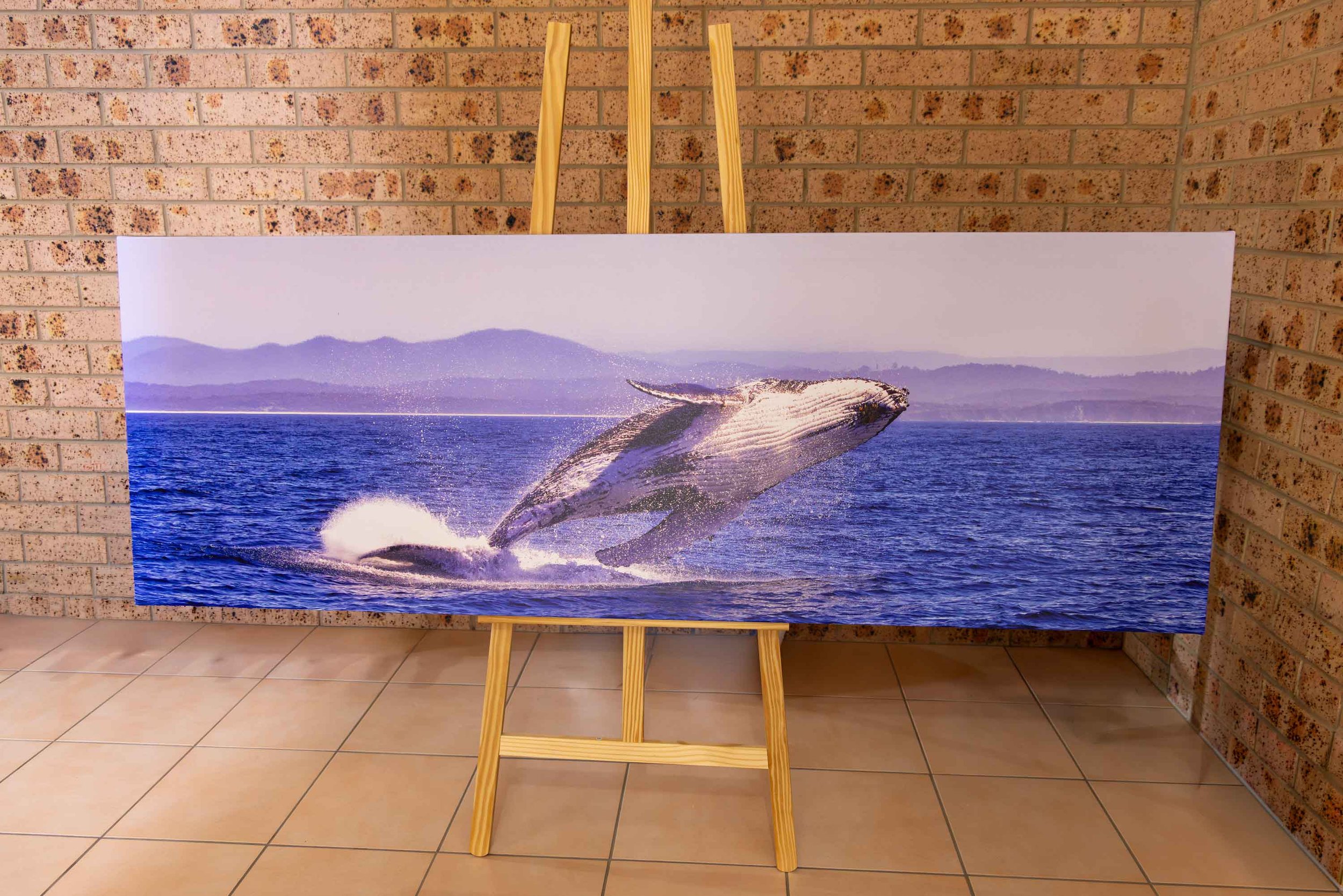Whale - Canvas Print Large
