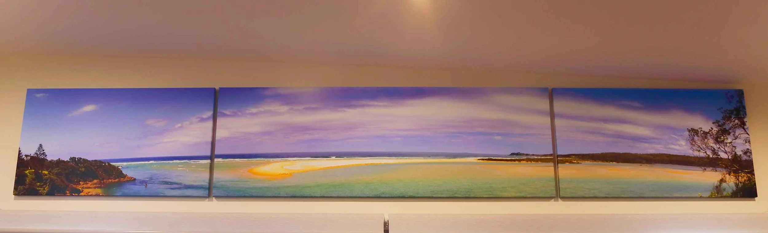 3 Canvas Prints Custom  Size 4.4m long-6825