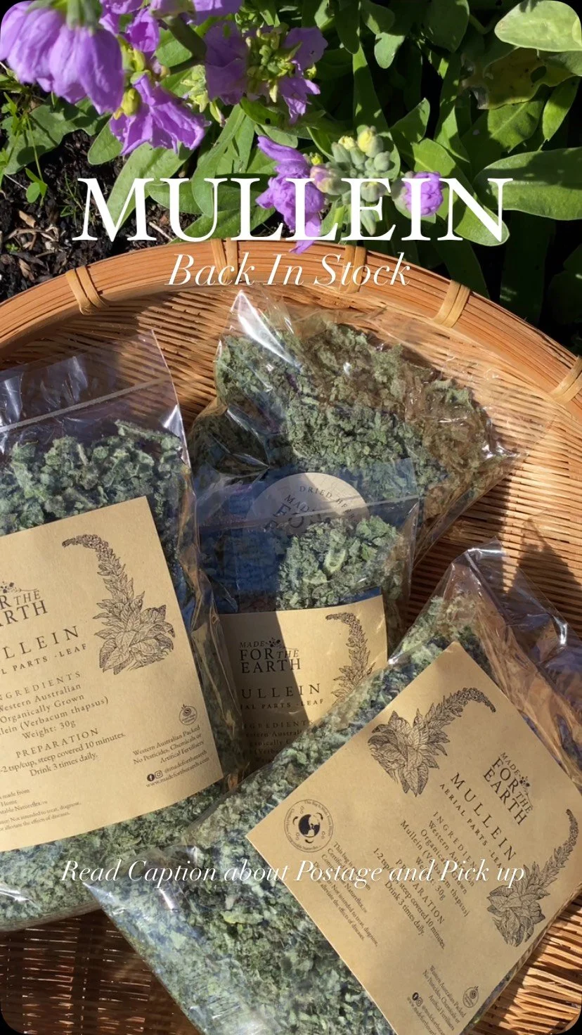 Mullein is back in stock! πΏπ«
We’ve just restocked our dried Mullein leaf—available in 30g or 16g packs. This one’s a customer favourite and tends to sell out quickly, so don’t miss it!
π¦ $11.50 standard shipping Australia-