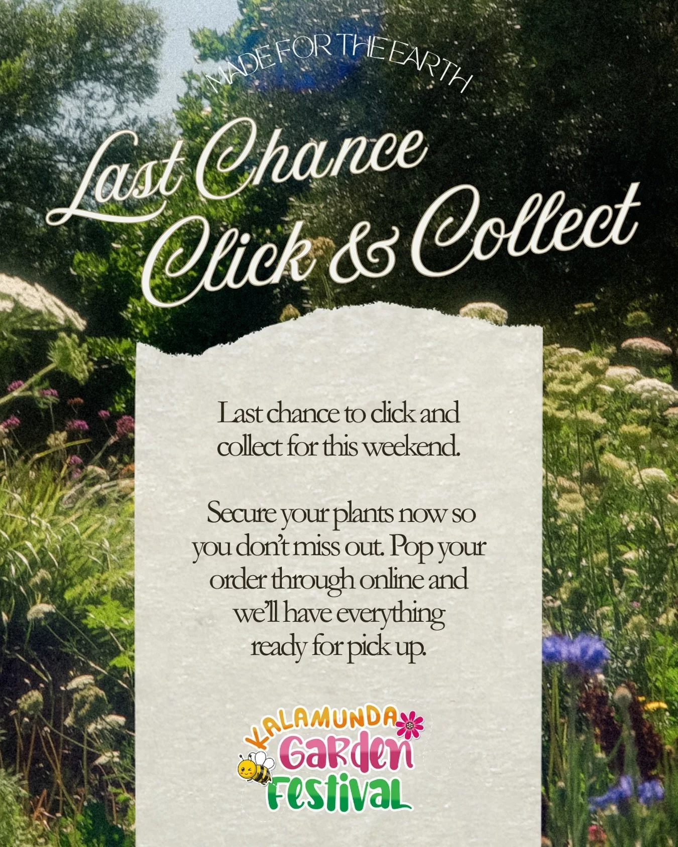 🌿✨ Last chance for plant click and collect for the Kalamunda Garden Festival ✨🌿

We are taking our final round of pre festival orders and this is your reminder to pop yours in if you want your favourites secured and ready for easy pickup on Sunday 