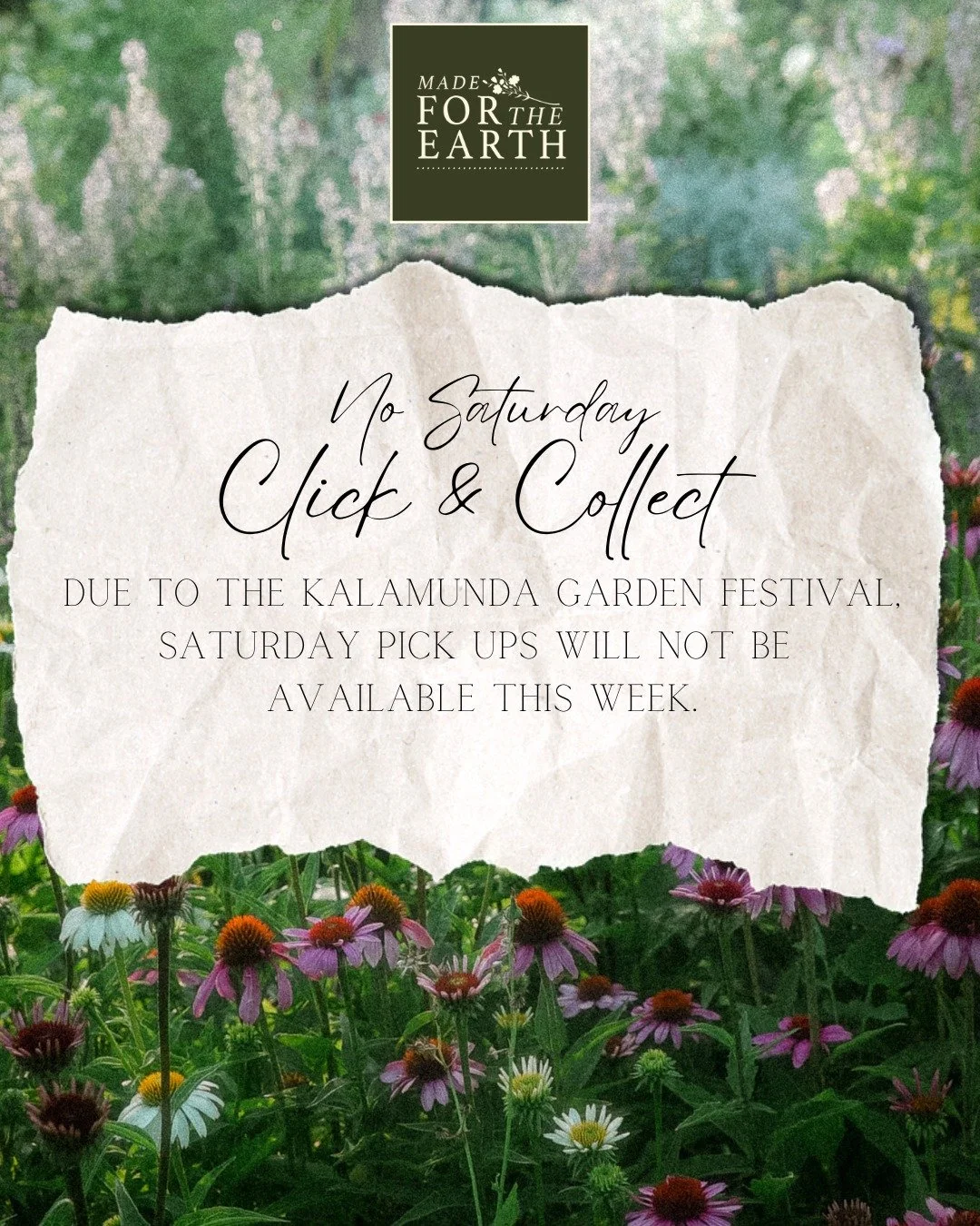Click &amp; Collect at the Kalamunda Garden Festival

A quick reminder that our usual Saturday Click &amp; Collect will not be available this week as we will be busy preparing for the Kalamunda Garden Festival.

If you've placed a Click &amp; Collect