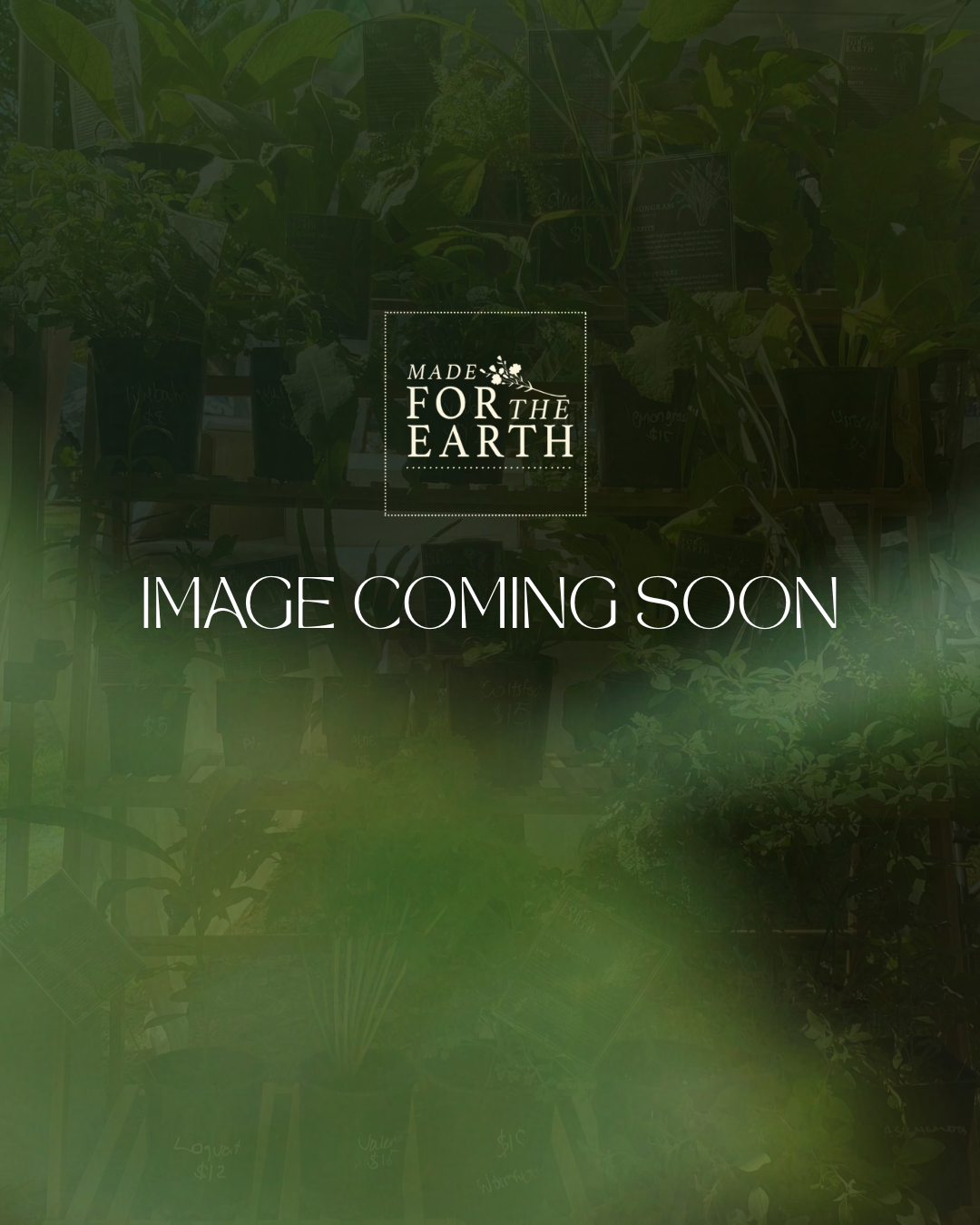 MARCH - MAY SOCIAL POSTS 2025 (9).png