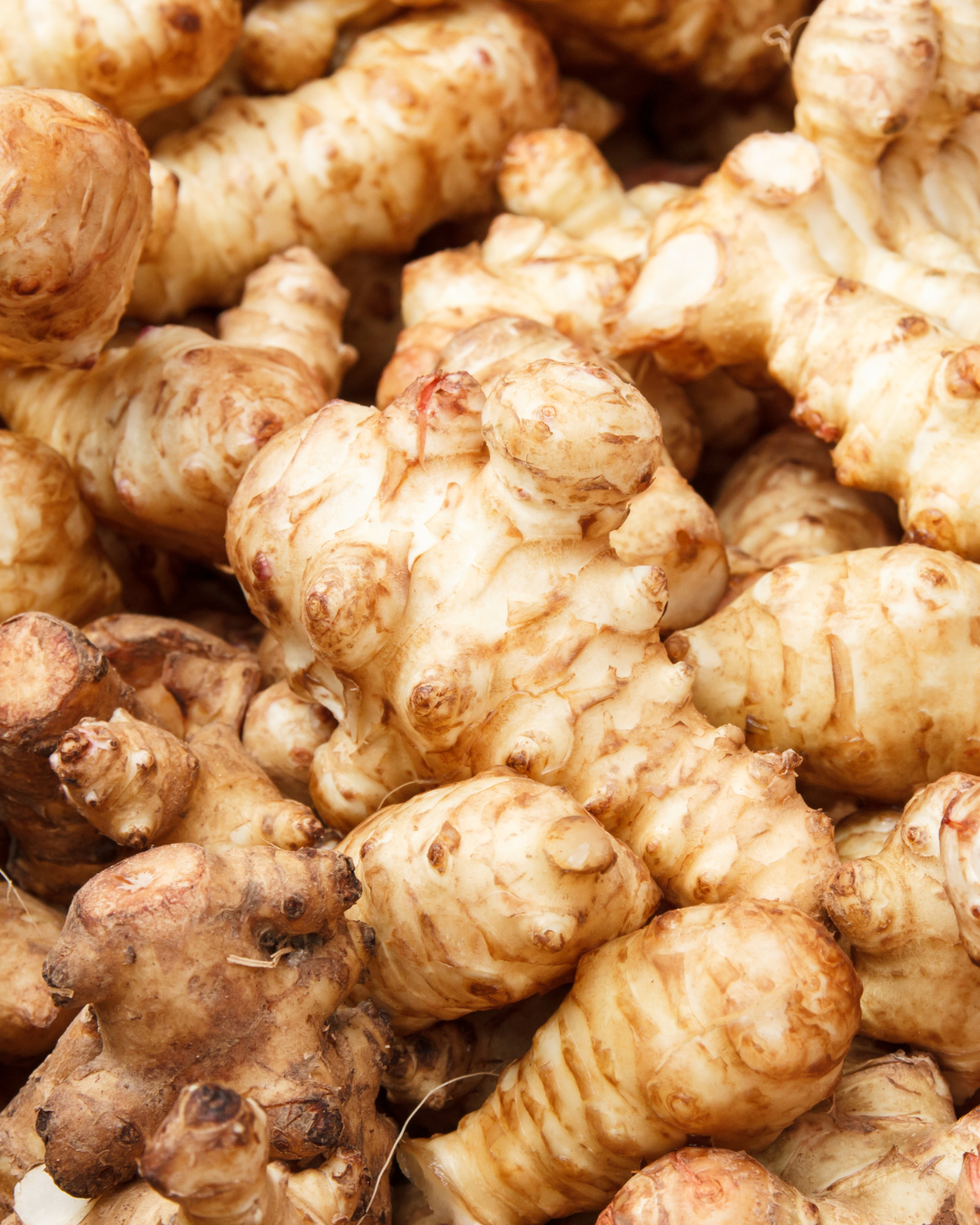 2026 Instagram Ad's (4).png