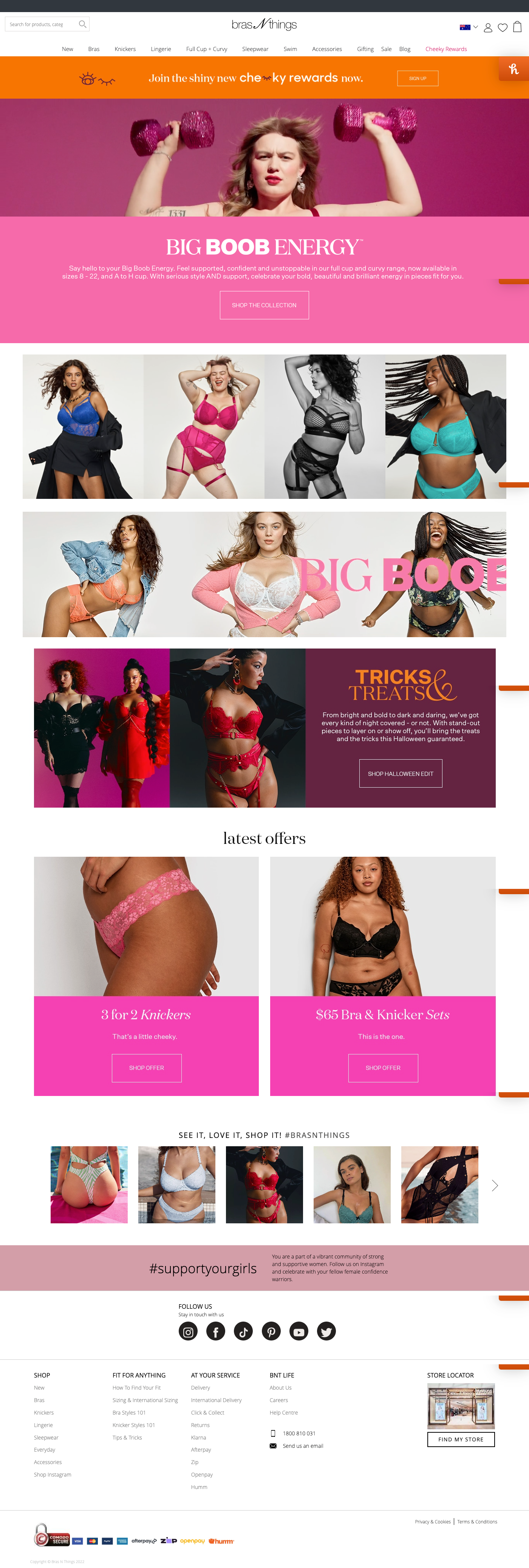 screencapture-brasnthings-2022-10-21-10_59_05.png