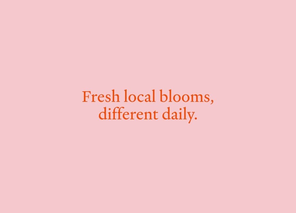 Daily Blooms 1.jpeg