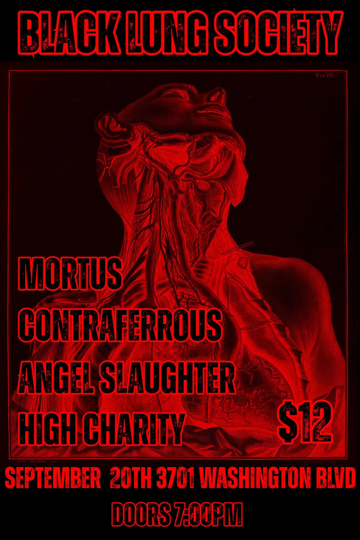 Mortus, Contraferrous, Angel Slaughter, High Charity