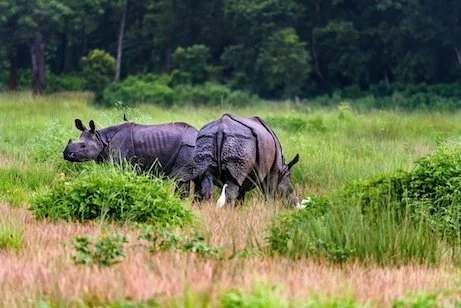 DSC_0428_1.jpg