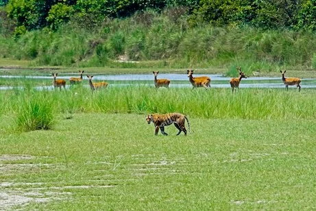 DSC_1143.jpg