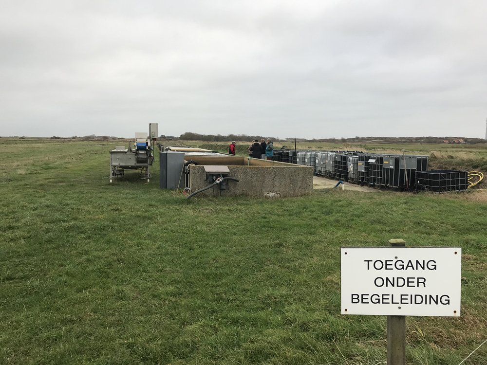  Huidige locatie van zeewierkweek SFF op Texel, nabij de Mokbaai. 