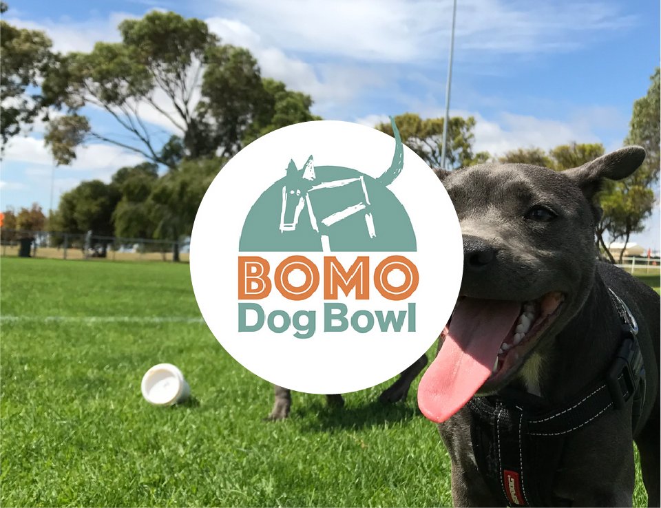 Bomaderry Dog Bowl