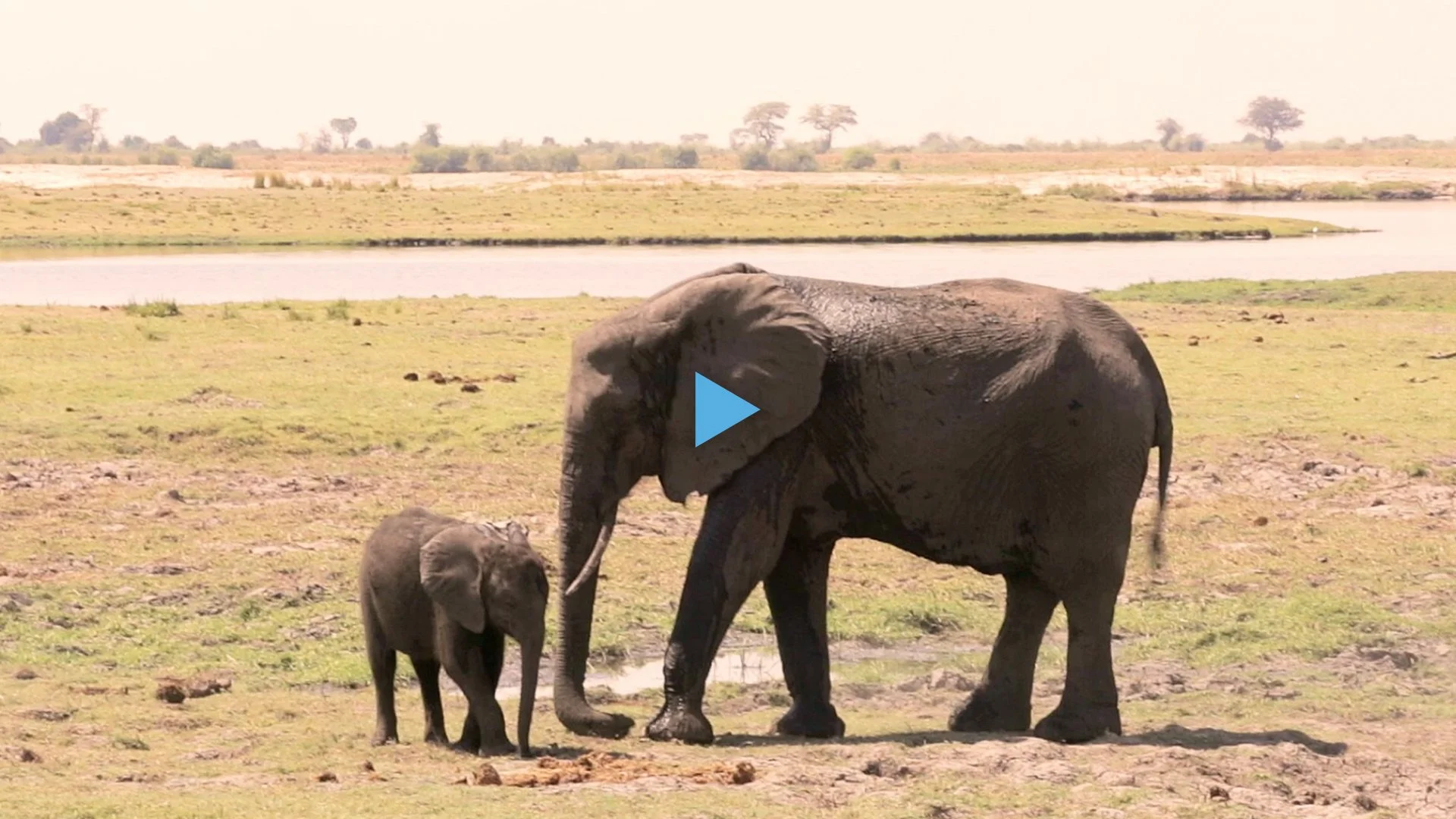 NABU Stiftung International