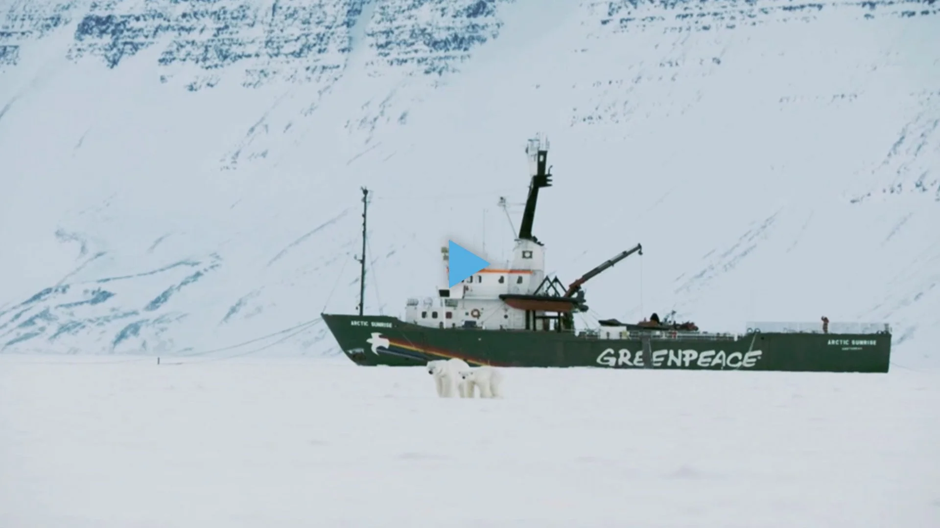 Greenpeace Deutschland