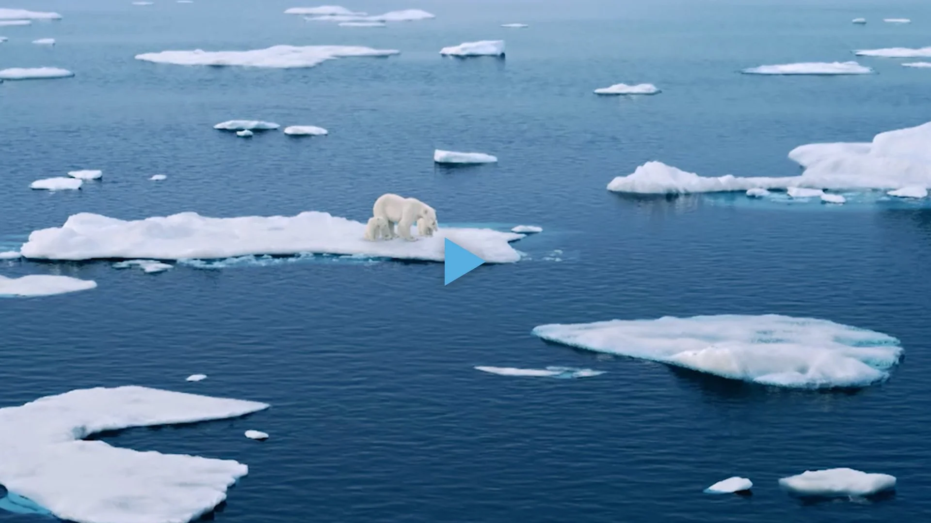 Greenpeace Deutschland