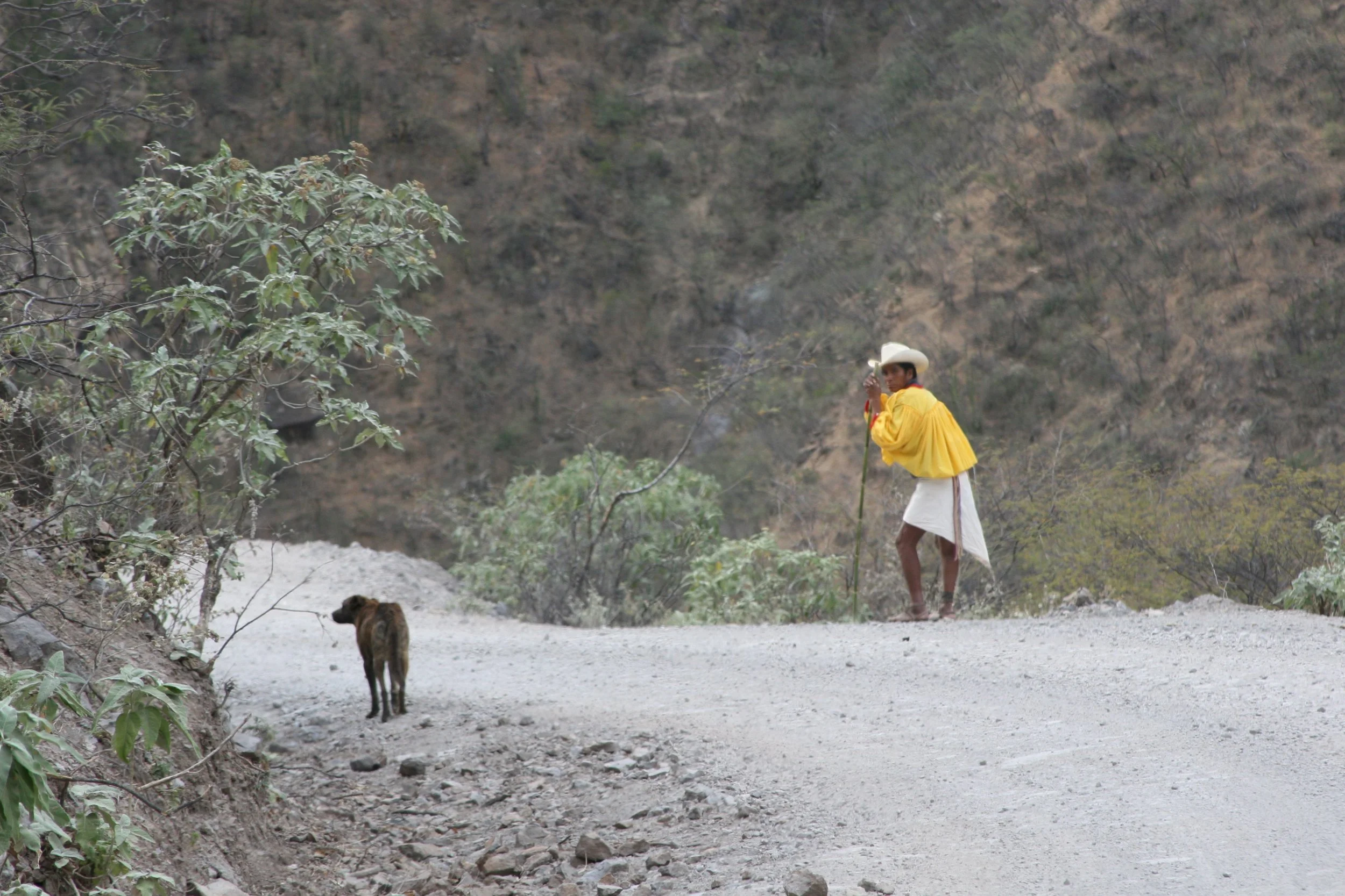 MEXICO: Raramuri Indian walking his dog