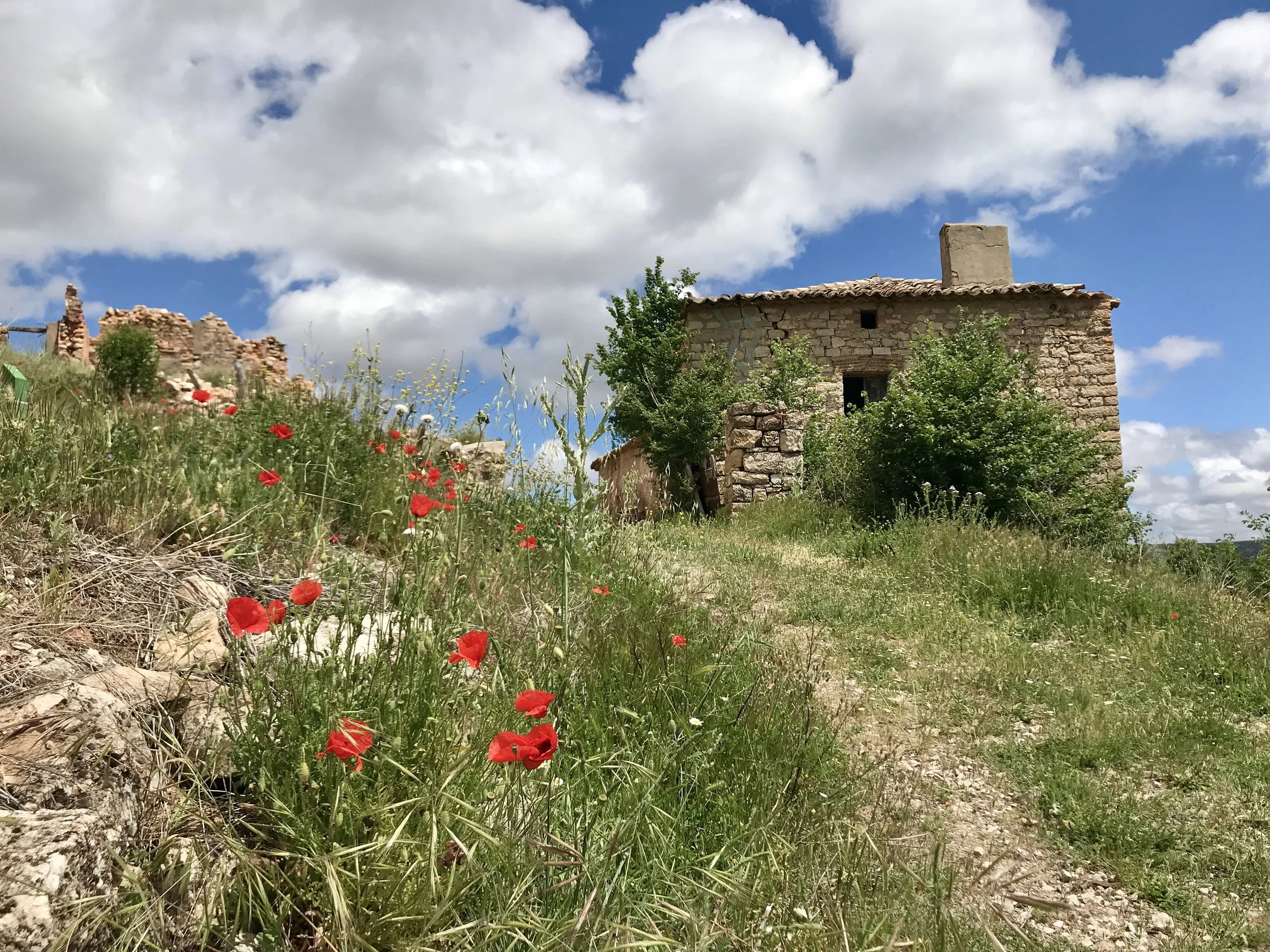 SPAIN: My happy place in Spring. 