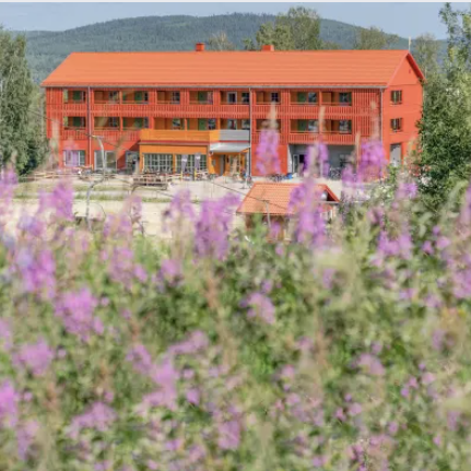 JBP – Järvsö Bergscykel Parks Hotell – Byggt för cyklister på sommaren och skidåkare på vintern, precis vid liftarna. 32 dubbelrum och Restaurang Sydsidan i samma hus. Närmare backen kommer ni inte.