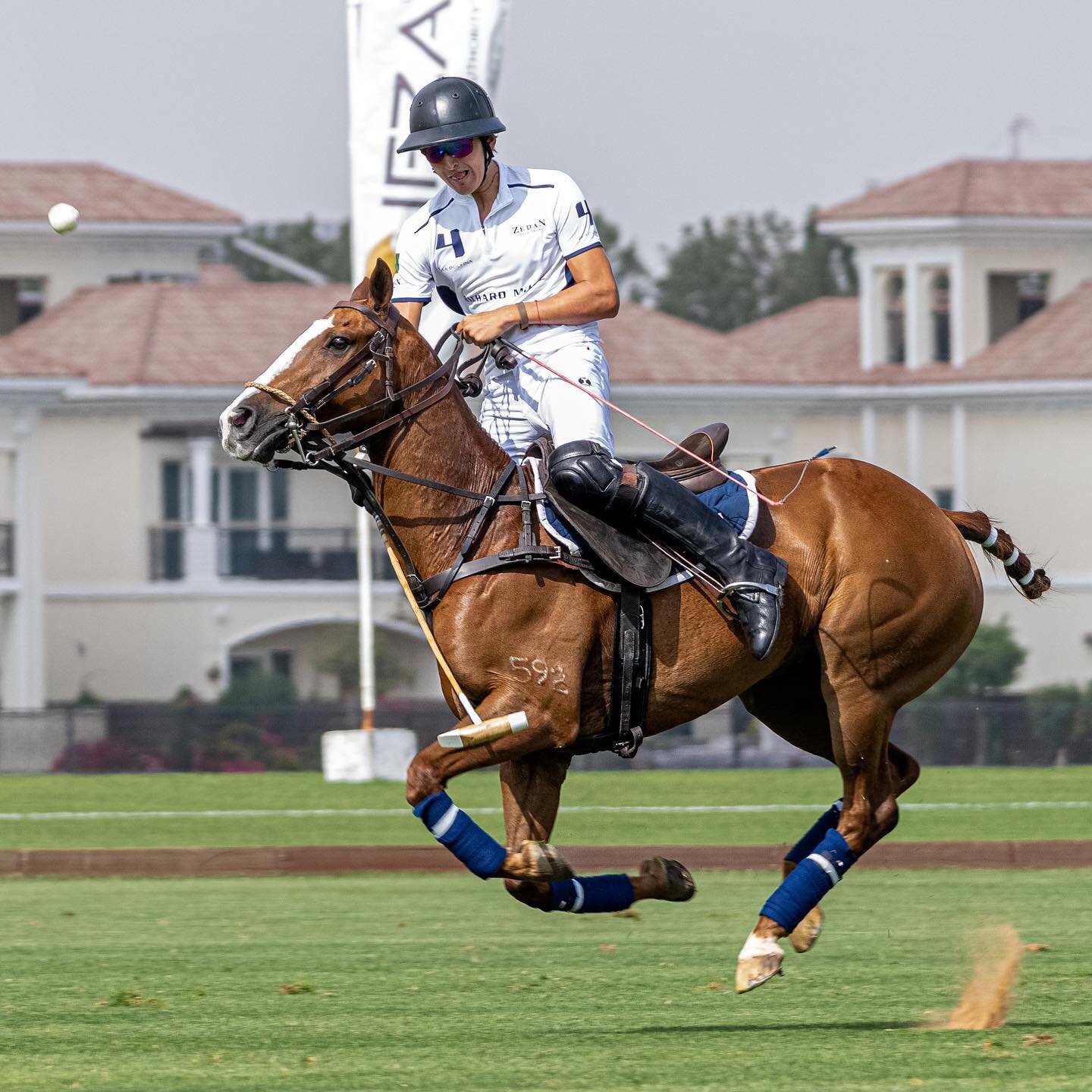 The team is ready for today&rsquo;s Gold Cup Quarterfinals 🔥🔥🔥 

🔜 Field ✌🏻 ⏱2.15 PM

@DubaiPoloGoldCupSeries 

#ZedanPolo #ZedanPoloTeam #SaudiPolo #ZedanGroup #RichardMille #DubaiPoloGoldCupSeries  #DubaiEquestrain #PoloinDubai #VisitDubai #My