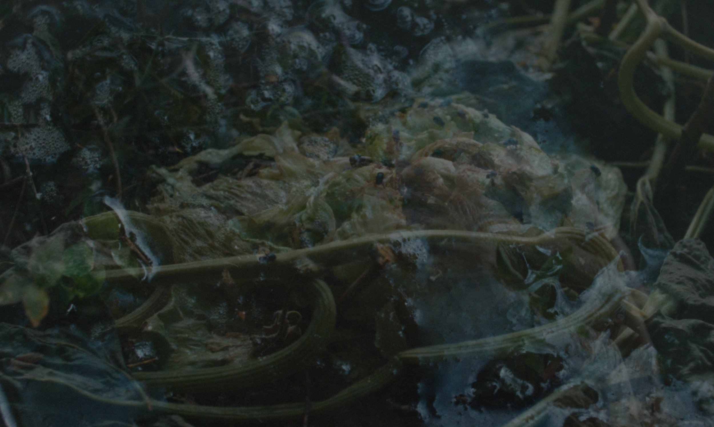 BULB_STILL_23.png