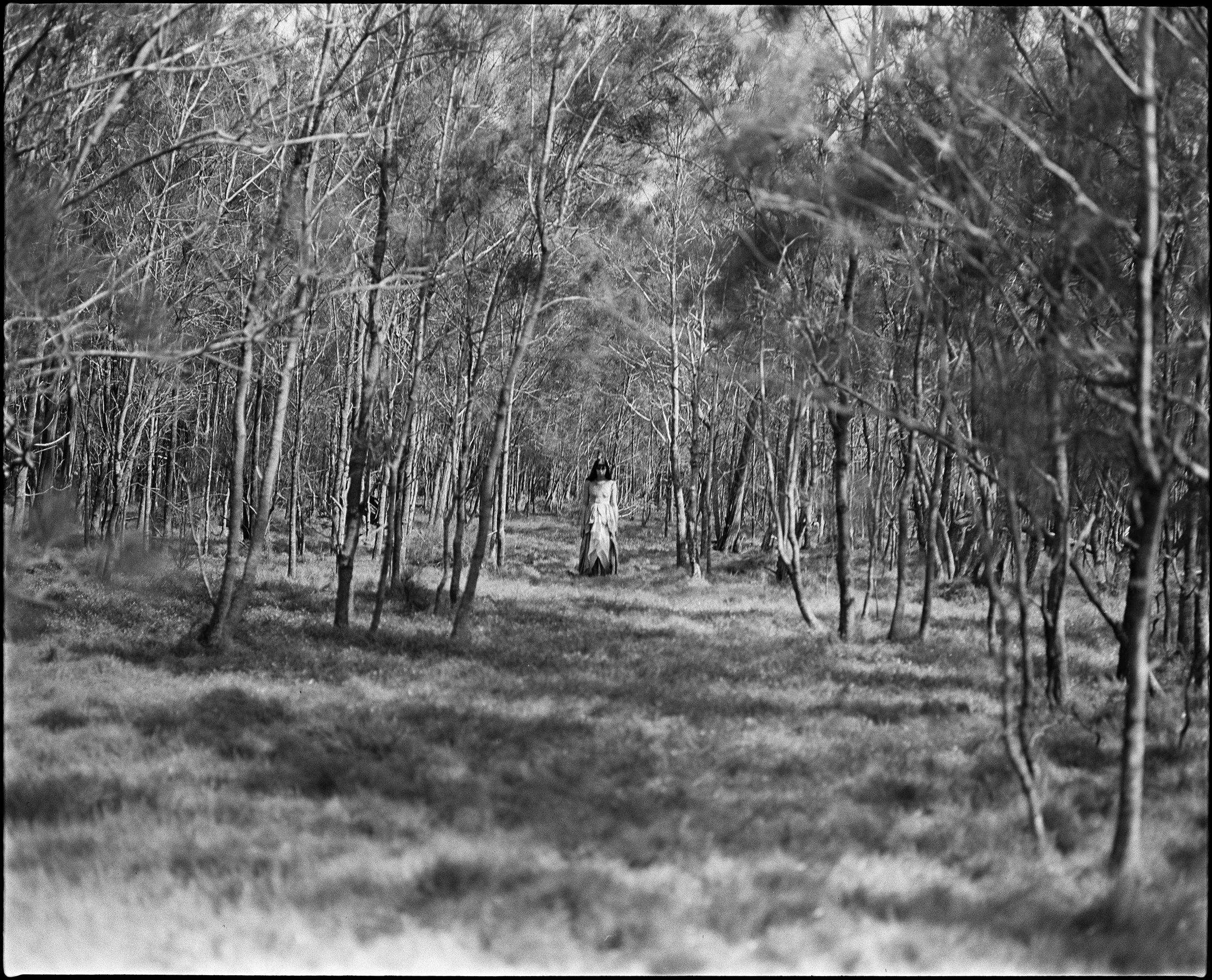 BROOD_STILL-285 COMP.jpg