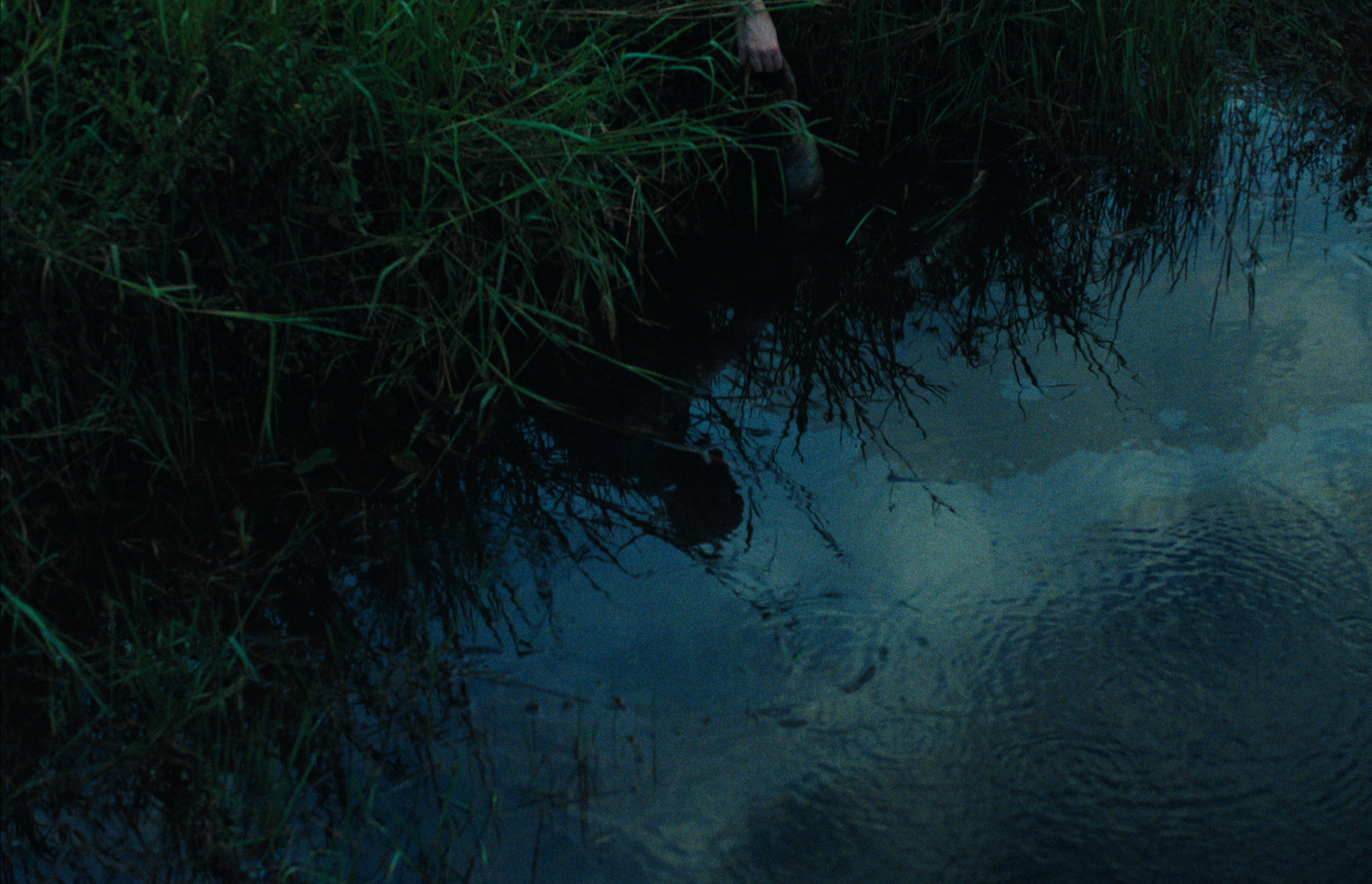 Flesh Fruit - Short (Post-Production)