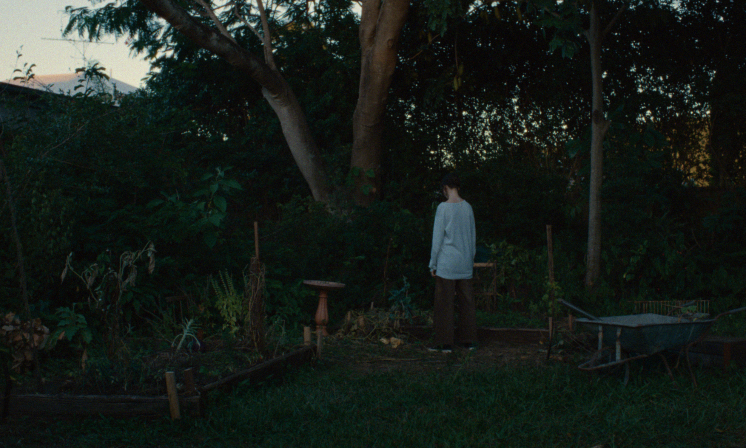 BULB_STILL_31.png