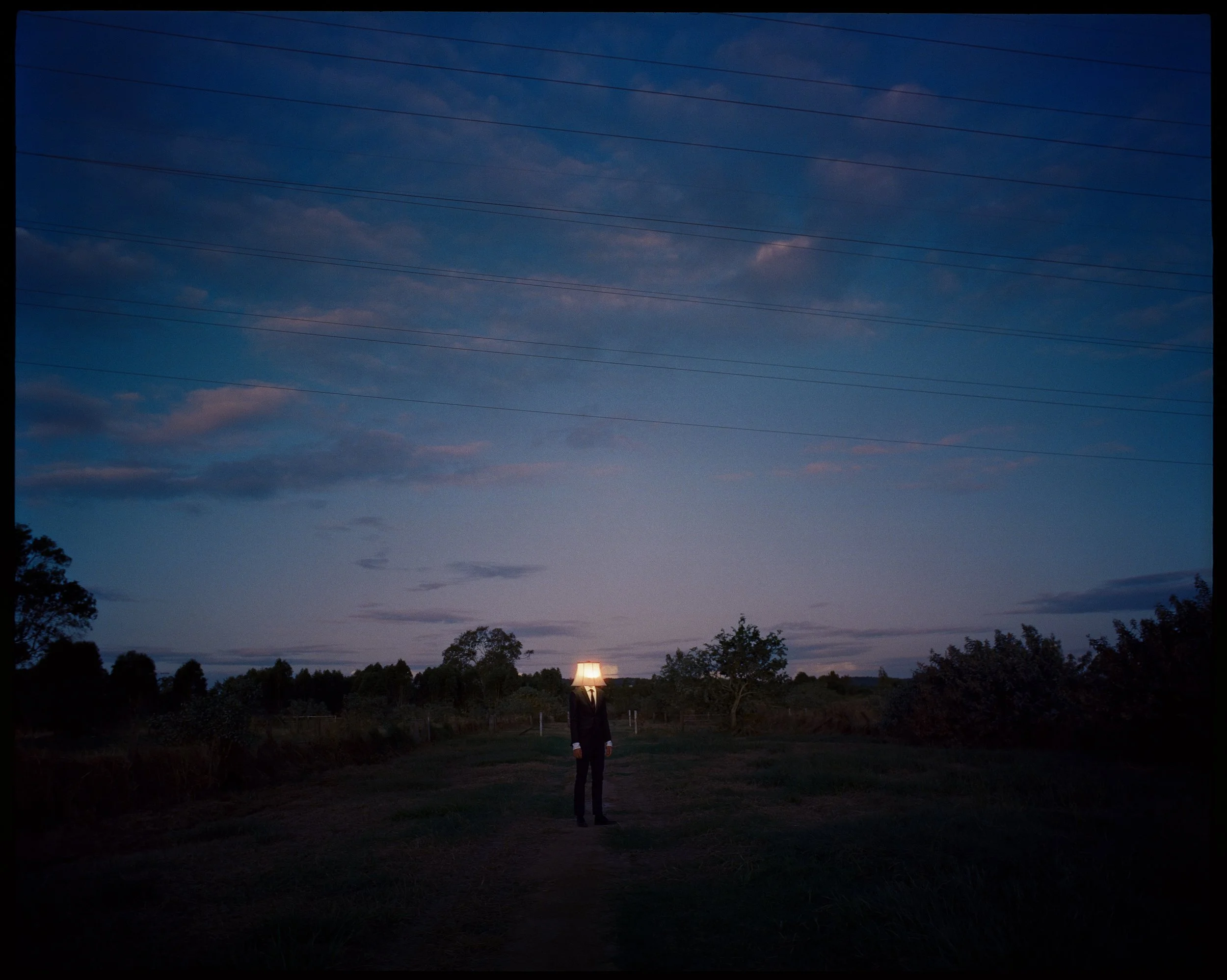 Lamphead In the feild Compressed.jpg