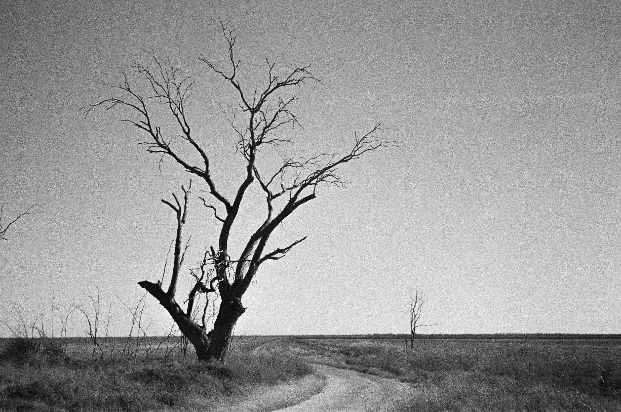 Lightning Ridge Scout BW Film-5.jpg