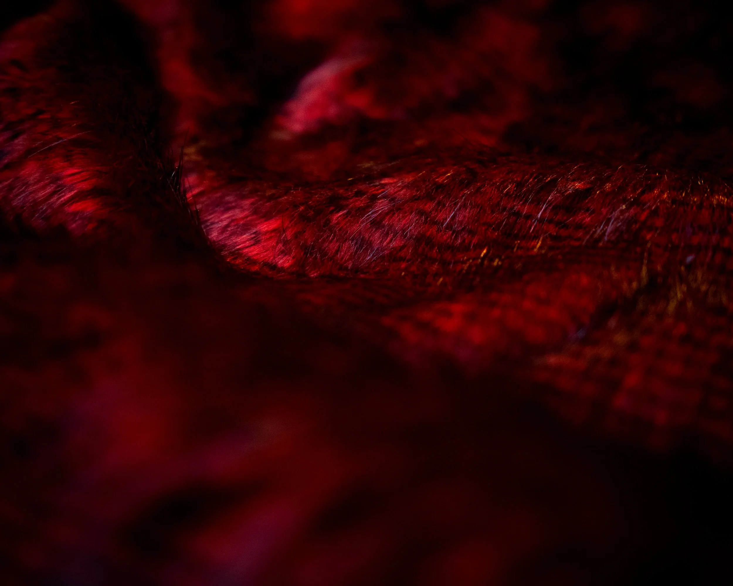 Principal BTS-53.jpg