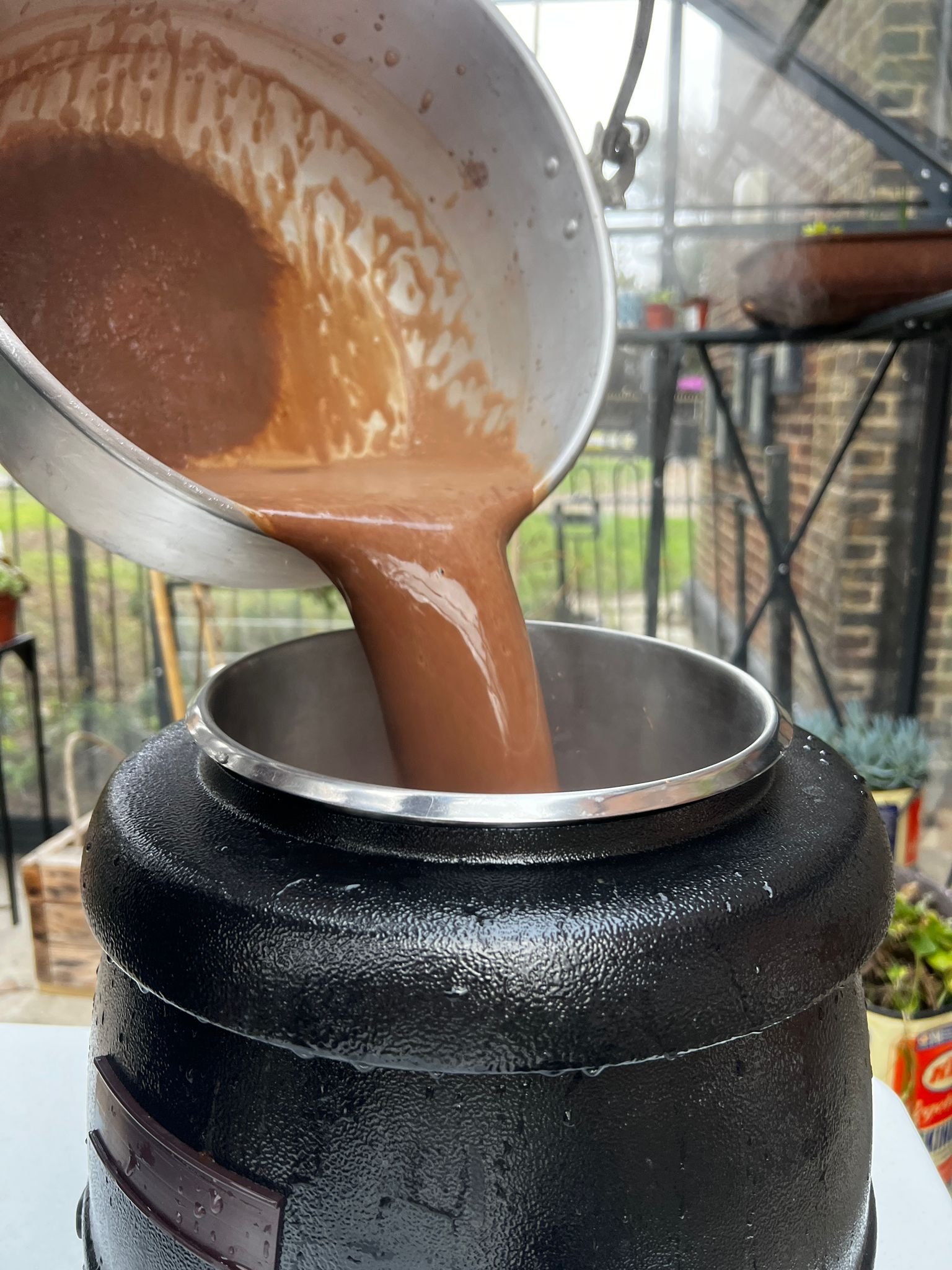 Hot chocolate in the greenhouse.jpeg