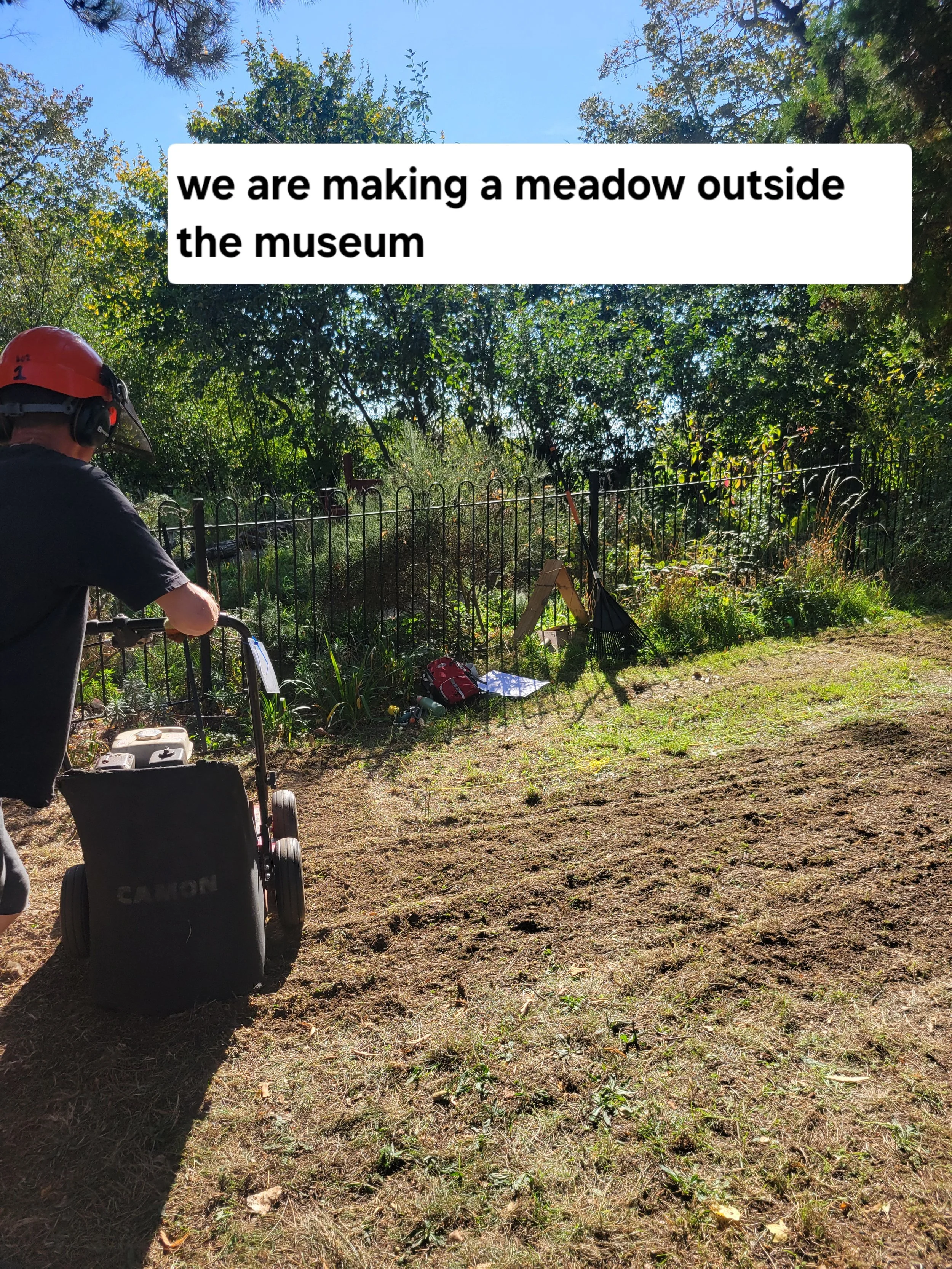 Making a meadow.jpg