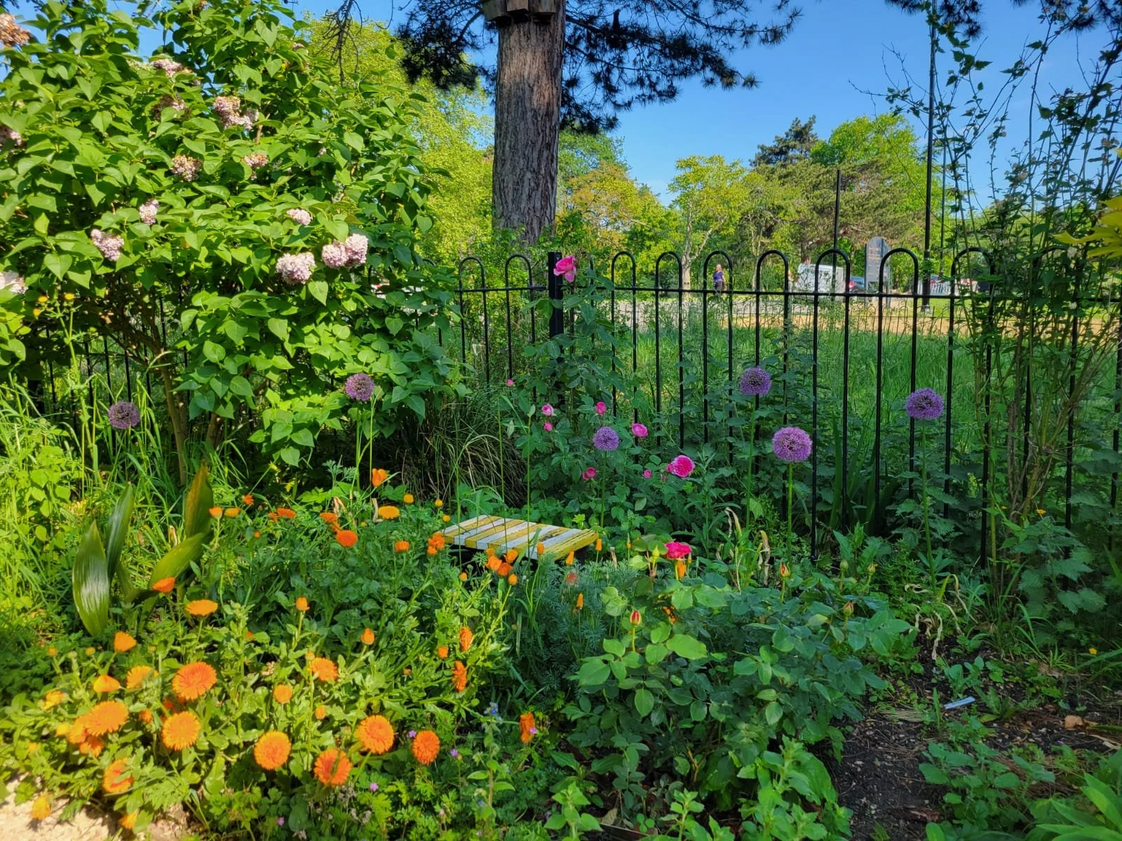 A picture of Museum of Homelessness Garden