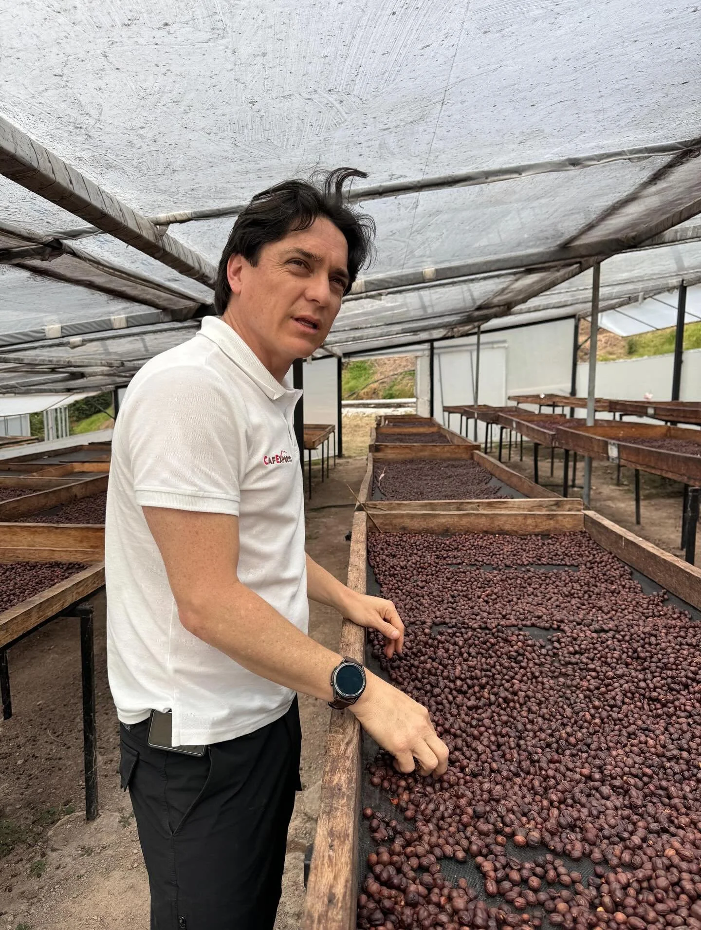 👑🌿🍒 新豆上架 👑🌿🍒 

🇪🇨 Ecuador Hacienda La Papaya 
📍 位於厄瓜多爾洛哈省，海拔 1,600-2,000米 
🌺 Typica Mejorado 風味：鮮明花香、熱帶水果甜感、明亮酸質 
⚙️ 莊園以滴灌技術與傳感器監控乾燥系統精準培育 
👐 手工篩選完美熟果，採用獨家處理法（水洗/日曬/厭氧發酵） 
🌿 科技與風土的極致結合&mdash;&mdash;成就這支非凡之作！ 

⚡️ Reserve #61 
🍊 Tangerine