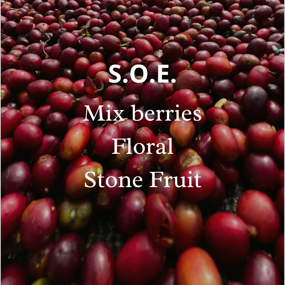 S.O.E. Ethiopia Yirgacheffe Gedeb Heirloom Natural