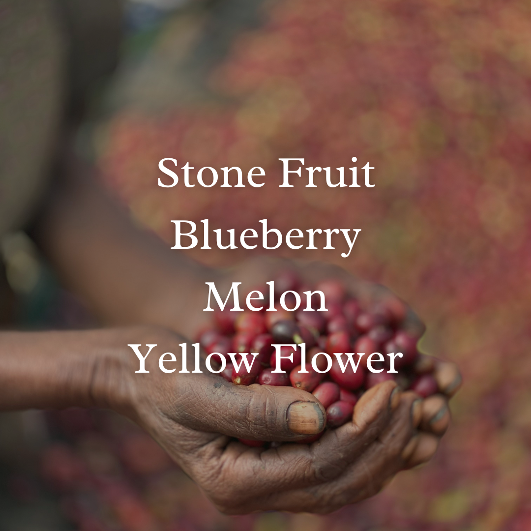 Ethiopia Guji Uraga Heirloom Natural