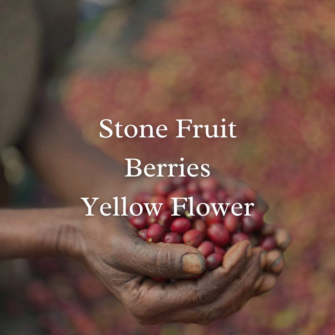 Ethiopia Guji Uraga Heritage Heirloom Natural