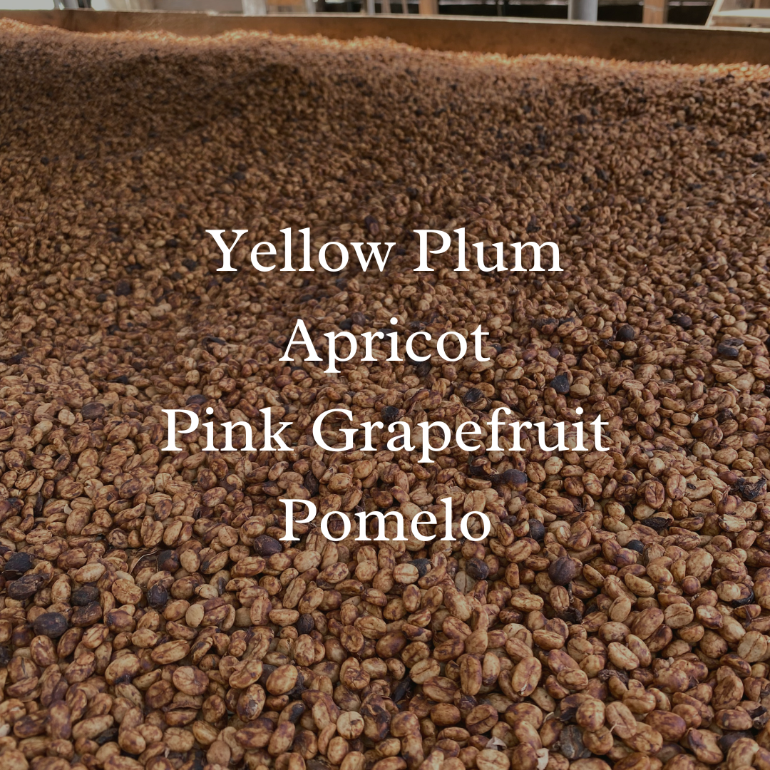 Colombia El Obraje Pink Bourbon Honey